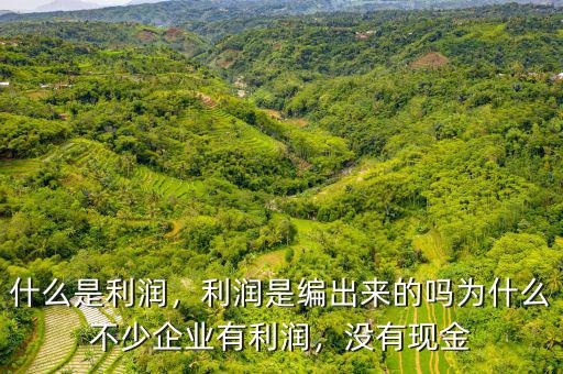 什么是利潤，利潤是編出來的嗎為什么不少企業(yè)有利潤，沒有現(xiàn)金