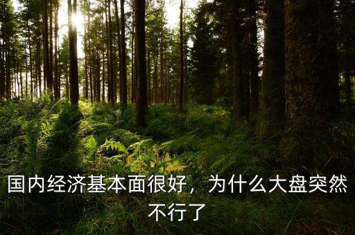 國內經濟基本面很好，為什么大盤突然不行了