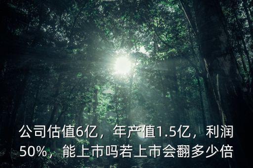 公司估值6億，年產值1.5億，利潤50%，能上市嗎若上市會翻多少倍