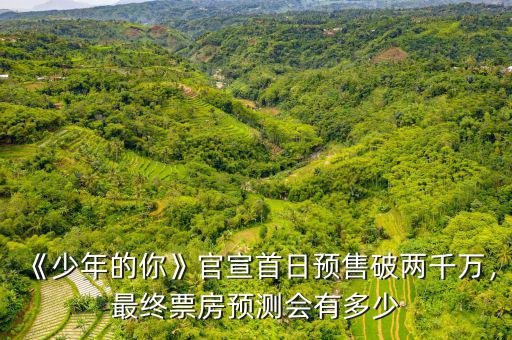 《少年的你》官宣首日預售破兩千萬，最終票房預測會有多少