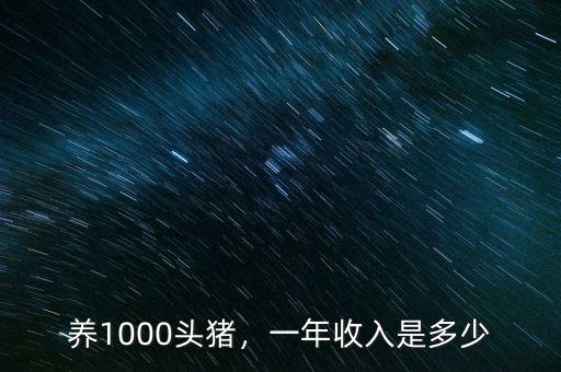 養1000頭豬，一年收入是多少