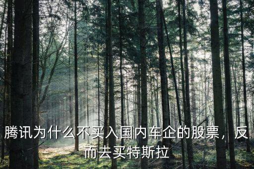 騰訊為什么不買入國內車企的股票，反而去買特斯拉