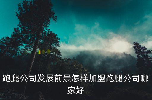 跑腿公司發展前景怎樣加盟跑腿公司哪家好