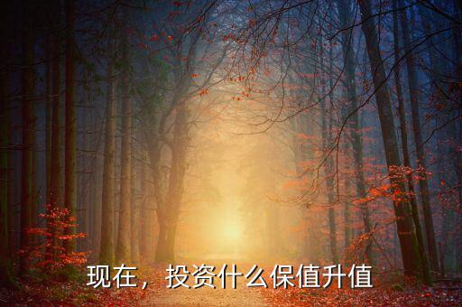 現在，投資什么保值升值