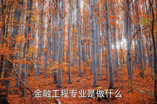 金融工程專業是做什么