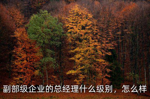 副部級企業的總經理什么級別，怎么樣
