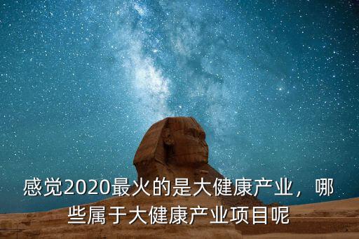 感覺2020最火的是大健康產業，哪些屬于大健康產業項目呢