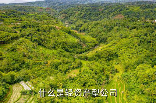什么是輕資產型公司