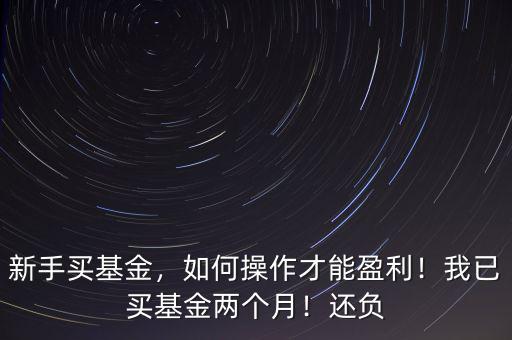 新手買基金，如何操作才能盈利！我已買基金兩個月！還負