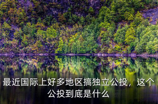最近國際上好多地區搞獨立公投，這個公投到底是什么