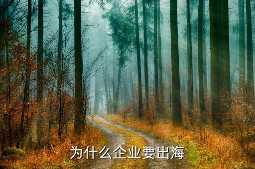 為什么企業要出海
