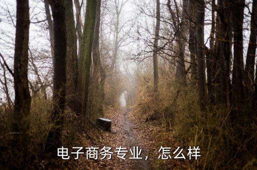 美的電子商務怎么樣,電子商務專業