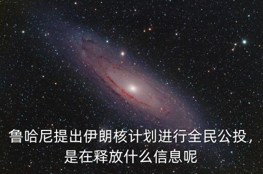 魯哈尼提出伊朗核計劃進行全民公投，是在釋放什么信息呢