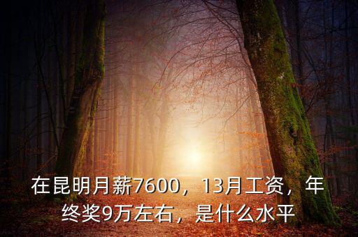 在昆明月薪7600，13月工資，年終獎9萬左右，是什么水平