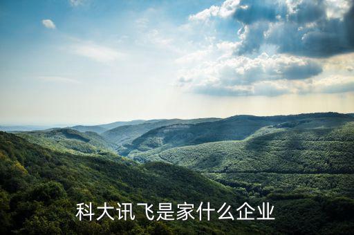 科大訊飛憑什么,科大訊飛是家什么企業