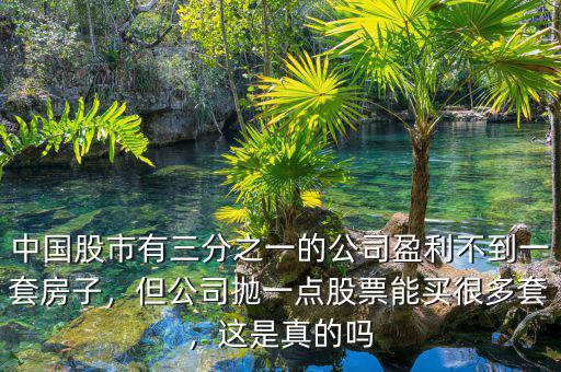 中國股市有三分之一的公司盈利不到一套房子，但公司拋一點股票能買很多套，這是真的嗎