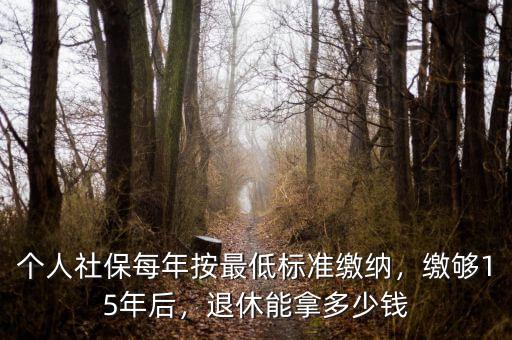 個人社保每年按最低標準繳納，繳夠15年后，退休能拿多少錢