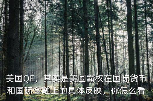 美國QE，其實是美國霸權在國際貨幣和國際金融上的具體反映，你怎么看
