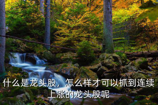 什么是龍頭股，怎么樣才可以抓到連續上漲的龍頭股呢