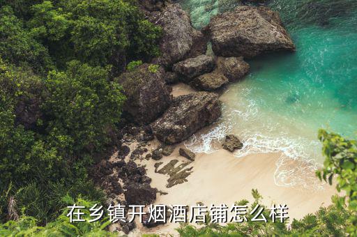 在鄉鎮怎么開牛欄山專賣,在鄉鎮開電器專賣店