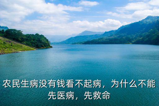 農民沒錢醫病怎么辦,農民如果沒錢了
