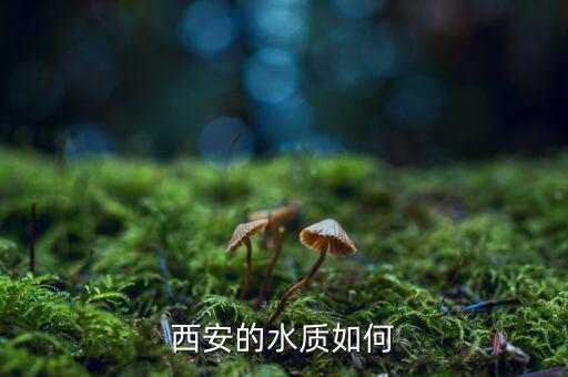 西安自來水水質怎么樣,西安水資源為什么不引黃河水