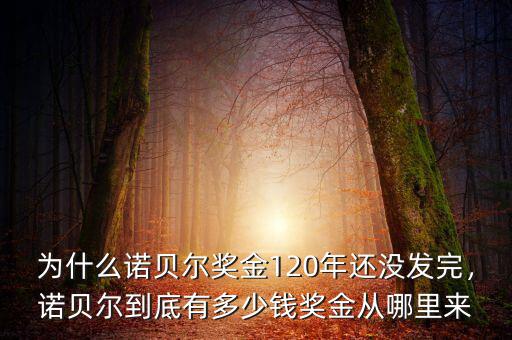 為什么諾貝爾獎金120年還沒發完，諾貝爾到底有多少錢獎金從哪里來