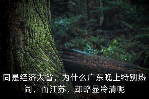 同是經(jīng)濟(jì)大省，為什么廣東晚上特別熱鬧，而江蘇，卻略顯冷清呢