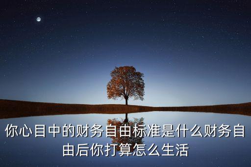 財務標準是什么,實現財務自由的是哪些人