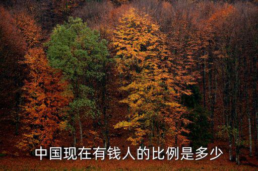 中國現在有錢人的比例是多少
