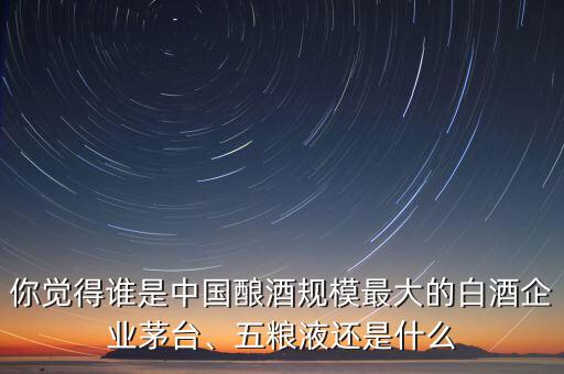 你覺得誰是中國釀酒規模最大的白酒企業茅臺、五糧液還是什么