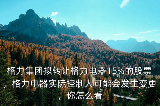格力集團(tuán)擬轉(zhuǎn)讓格力電器15%的股票，格力電器實(shí)際控制人可能會(huì)發(fā)生變更，你怎么看