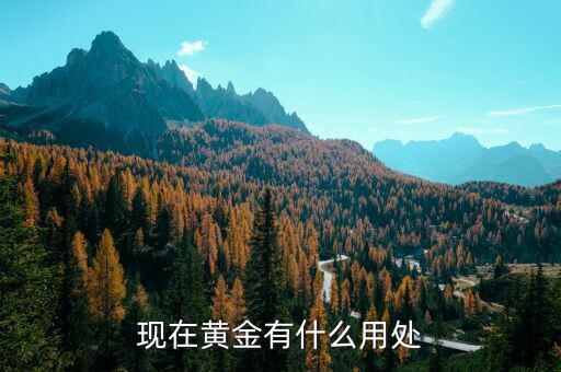 現在黃金有什么用處