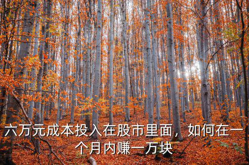 六萬元成本投入在股市里面，如何在一個月內賺一萬塊