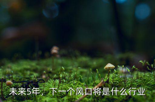 未來5年，下一個風(fēng)口將是什么行業(yè)