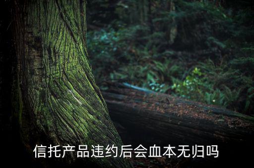 中融國際信托產品怎么樣,中融信托發展怎么樣