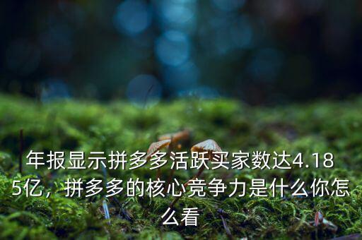 年報顯示拼多多活躍買家數達4.185億，拼多多的核心競爭力是什么你怎么看