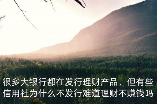 很多大銀行都在發行理財產品，但有些信用社為什么不發行難道理財不賺錢嗎