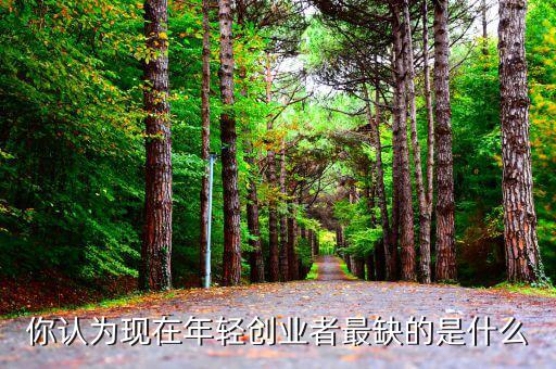 林正剛現在的創業者缺什么,創業的人越來越少