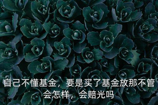 自己不懂基金，要是買了基金放那不管會怎樣，會賠光嗎