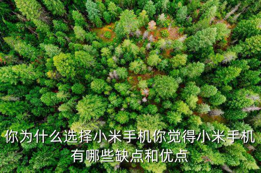 你為什么選擇小米手機你覺得小米手機有哪些缺點和優點