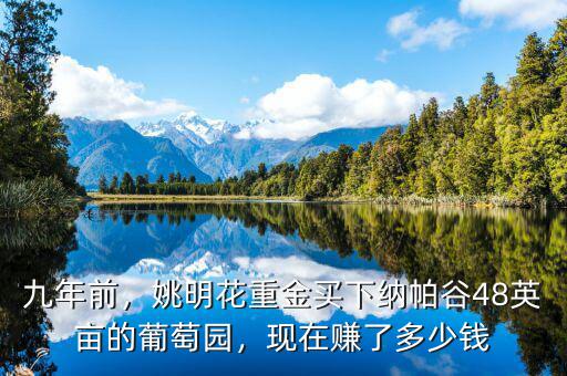 九年前，姚明花重金買下納帕谷48英畝的葡萄園，現在賺了多少錢
