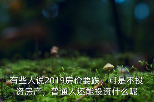 有些人說2019房價要跌，可是不投資房產，普通人還能投資什么呢