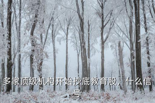 抄底什么股,多家頂級機構開始抄底教育股