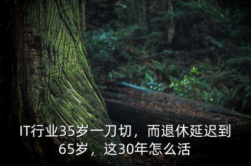 IT行業35歲一刀切，而退休延遲到65歲，這30年怎么活