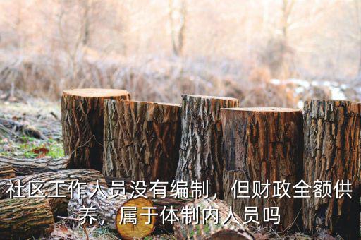 社區工作人員沒有編制，但財政全額供養，屬于體制內人員嗎