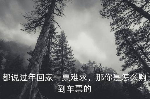 都說過年回家一票難求，那你是怎么購到車票的