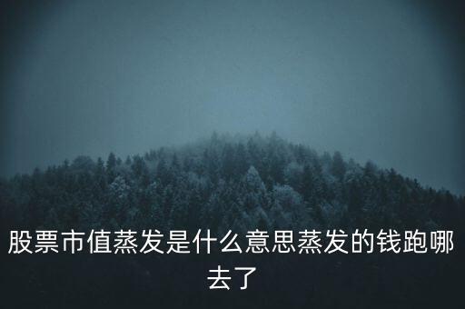 股票市值蒸發是什么意思蒸發的錢跑哪去了