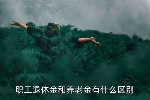 職工退休金和養老金有什么區別