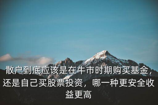 散戶(hù)到底應(yīng)該是在牛市時(shí)期購(gòu)買(mǎi)基金，還是自己買(mǎi)股票投資，哪一種更安全收益更高